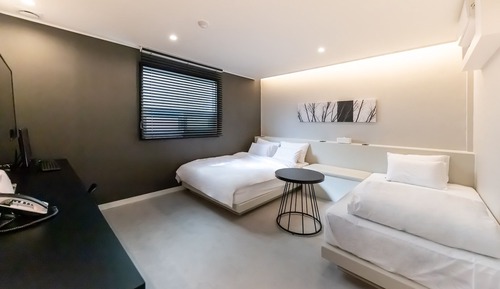 Room (Twin ROOM Early check-in + late check)