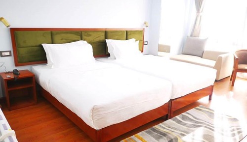 Habitación de lujo con 2 camas individuales