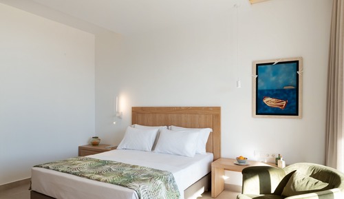 Suite junior, vistas al jardín (3 Adults)