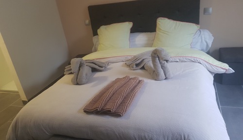 Habitación Confort doble (2)