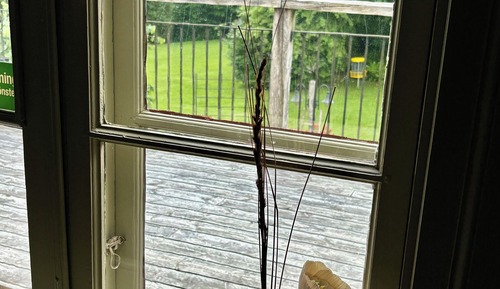 Habitación triple (Kornknarren)