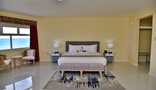Suite estudio Signature