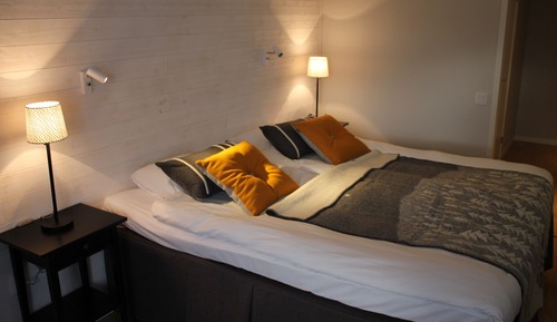 Habitación Deluxe con 2 camas individuales