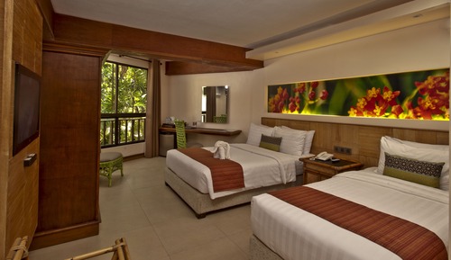 Habitación Deluxe (North Wing)