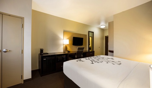 Habitación estándar, 1 cama de matrimonio grande, no fumadores