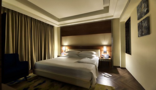 Suite ejecutiva, 1 cama de matrimonio