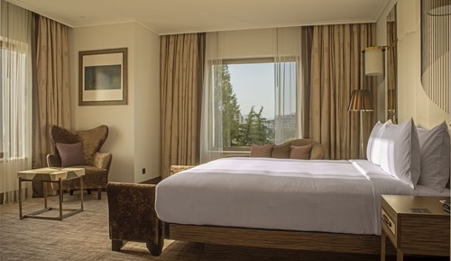 Habitación Deluxe, 1 cama de matrimonio grande, vistas al parque