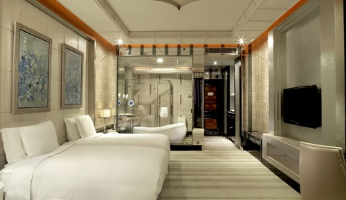 Habitación Deluxe con 2 camas individuales (Chateau )