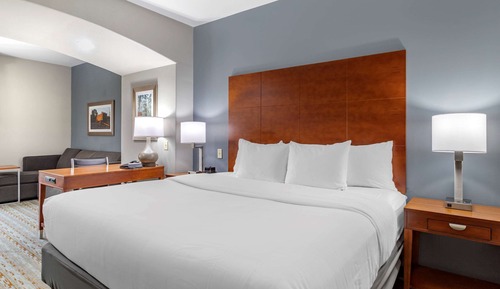 Suite, 1 cama de matrimonio grande con sofá cama, no fumadores