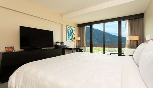 Habitación, 1 cama de matrimonio grande