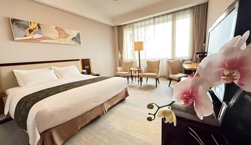 Habitación Business (Business King Room)