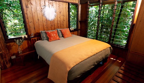 Casa Deluxe en un árbol