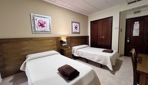 Habitación estándar con 2 camas individuales
