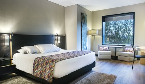 Habitación estándar, 1 cama de matrimonio grande