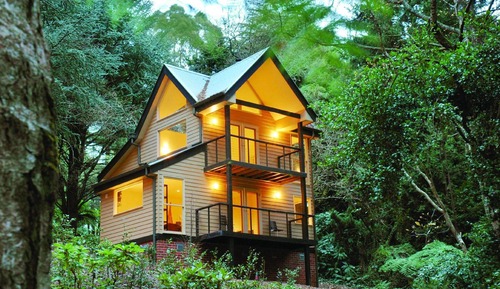 Casa en un árbol