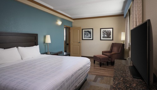 Suite, 1 cama de matrimonio grande, no fumadores (Separate Living Room;with Sofabed)