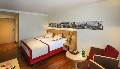Habitación estándar, 1 cama doble (Standard Double Room without Balcony )