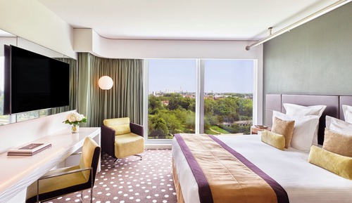 Habitación Deluxe, vistas al parque