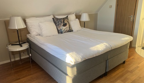 Suite estándar