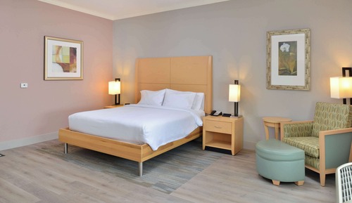 Standard Room, 1 King Bed, Accessible (Mobility & Hearing, Roll-in Shower)