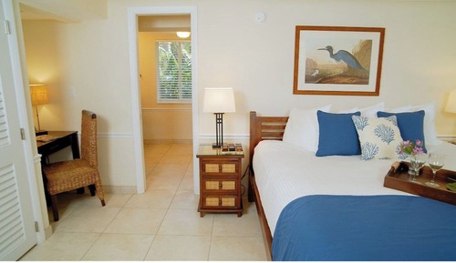 Suite Deluxe, 1 habitación, cocina básica