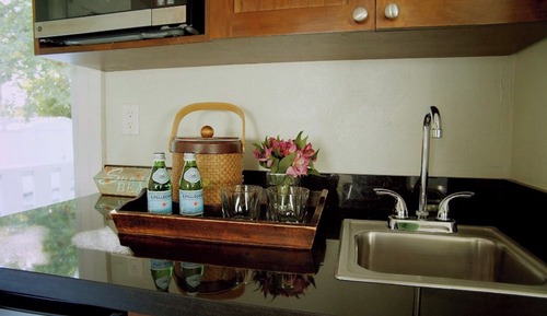 Habitación Deluxe, frigorífico y microondas, vistas al jardín