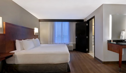 Habitación, 1 cama de matrimonio grande, accesible para personas con discapacidad (Shower)