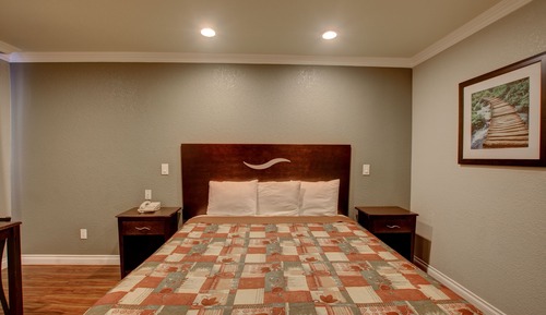 Habitación, 1 cama de matrimonio grande