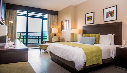 Habitación Deluxe, vistas al jardín