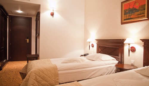 Habitación Deluxe con 2 camas individuales