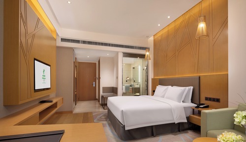 Habitación estándar, 1 cama de matrimonio grande