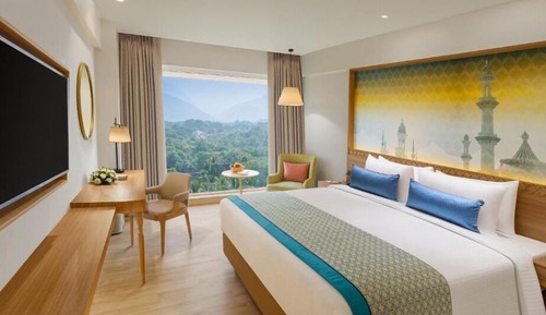 Habitación Premium, 1 cama de matrimonio grande