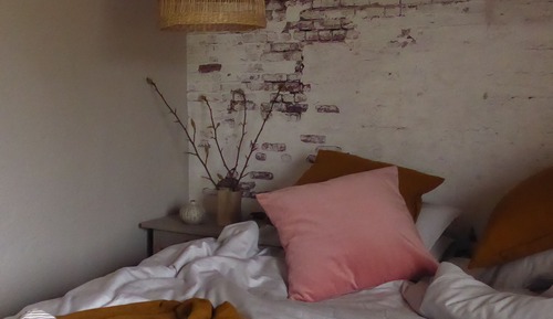 Habitación básica doble, 1 cama de matrimonio (6)