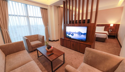 Suite Business, 1 cama doble, no fumadores, vistas a la ciudad