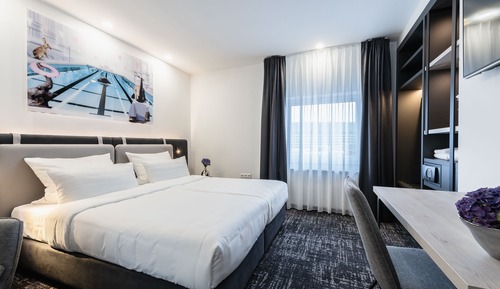 Habitación doble, 1 cama de matrimonio grande