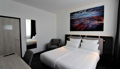 Habitación doble, 1 cama de matrimonio
