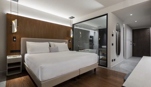 Suite junior, balcón, vistas al lago (Albus)