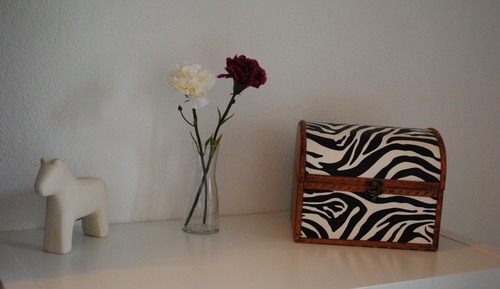 Apartamento clásico (Zebra)