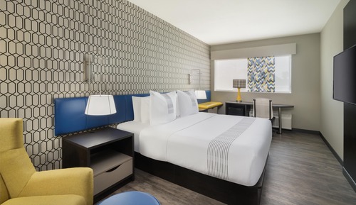 Habitación estándar, 1 cama de matrimonio grande, accesible para personas con discapacidad, bañera