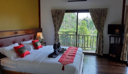 Deluxe Double or Twin Room