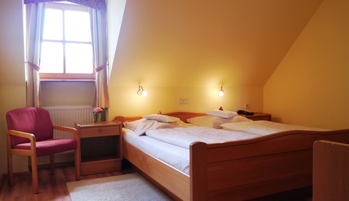 Habitación individual básica (Single Use)
