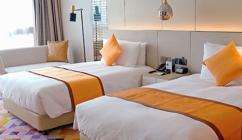 Habitación Deluxe con 2 camas individuales