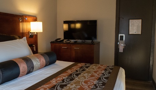 Habitación básica, 1 cama de matrimonio grande