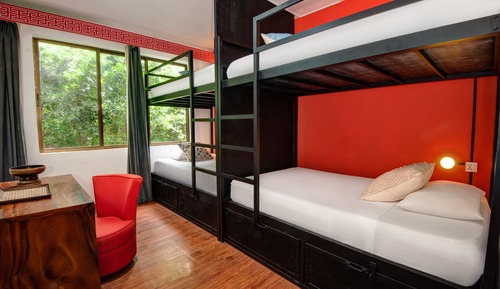 Dormitorio compartido estándar, dormitorio mixto (1 Bed in 4 Bed Dorm)