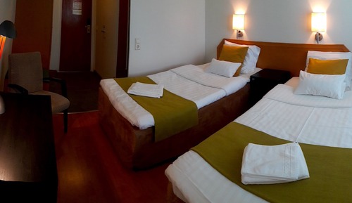 Habitación estándar con 2 camas individuales, vistas al jardín