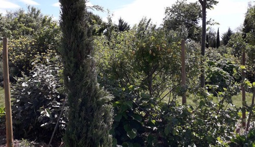 Cabaña romántica, bañera de hidromasaje (Cabane du Potager)