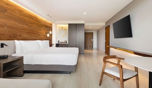 ONE KING BED GUESTROOM MOBILITY ACCESSIBLE