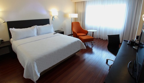 Habitación básica (king)