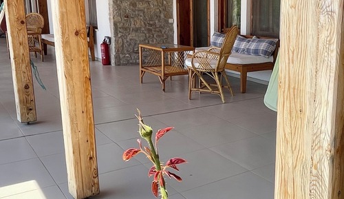Habitación panorámica, vistas al mar
