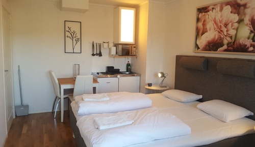 Habitación Deluxe con 2 camas individuales